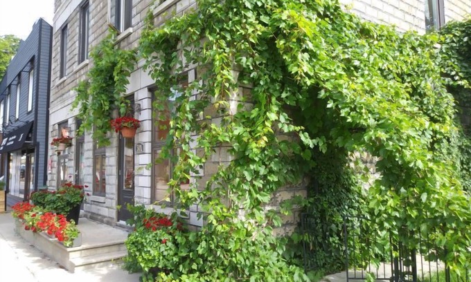 Farnham Apartment | Top-Notch Vieux-Old Farnham Appart Condotel with Breakfast