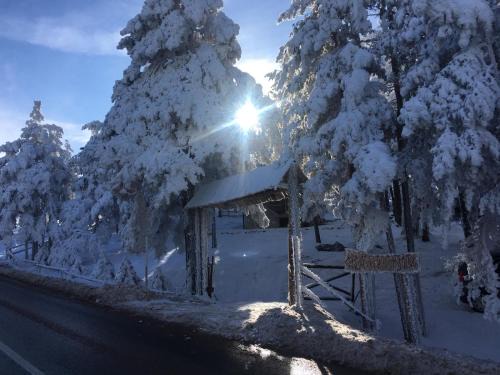 Divcibare House | Exceptional Vikendica Martinović: Pet & Child Friendly Escape
