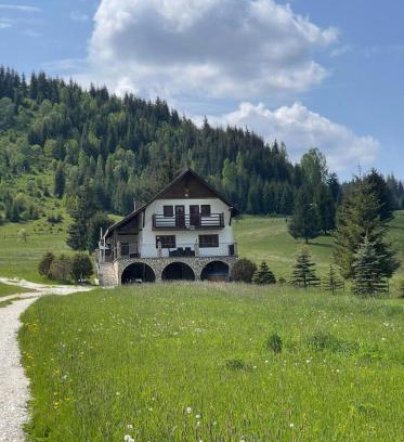 Sarisor House | Vila Ancuța: Family-Friendly Retreat with Pool & Hot Tub