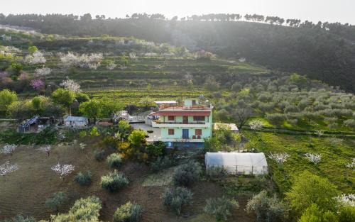 Berat Apartment | Guest Rated: Vila Dean - Pet-Friendly with Breakfast Included