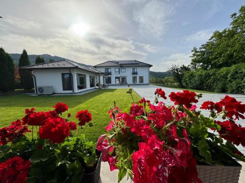 Sovata Bed & Breakfast | Unforgettable Stay at Vila Diamond Lux&Spa with Ocean View