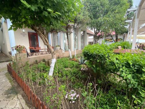Vama Veche House | Beachfront Escape at Vila Karina in Vama Veche