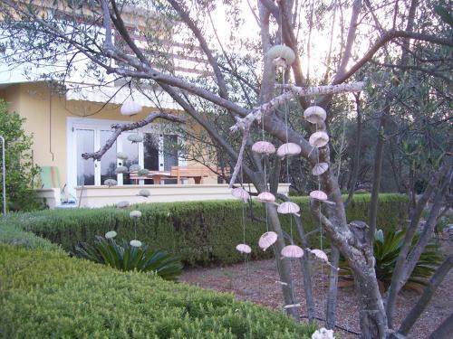 Kukljica Apartment | Oceanfront Vila Kuncabok: Guest Rated 9.8/10 Experience