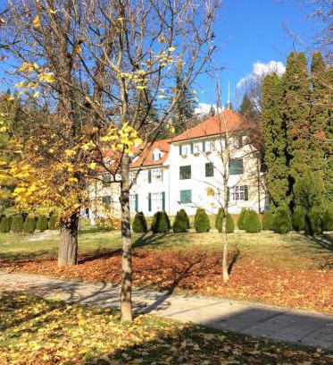 Rogaska Slatina Apartment | Unforgettable Vila Rogashka One Bedroom Apartment Retreat