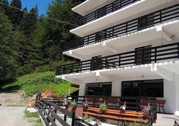 Predeal House | Discover Vila Zenobia: Family-Friendly with Kitchen Amenities