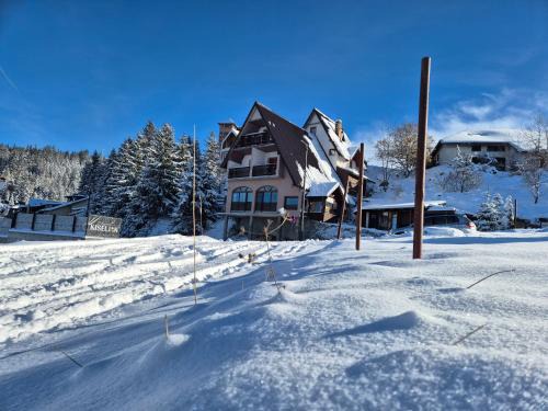Babanovac Ski Chalet | Family-Friendly Vila Bellavista with Kitchen & Pet Access