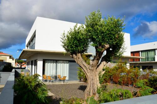 Pedras Pretas Villa | Discover Vilas Espírito Santo: Pet-Friendly Oceanfront Retreat