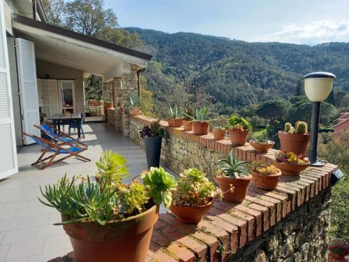 Ca Miro Apartment | Pet-Friendly Villa ai Sugheri with 10/10 Guest Rating