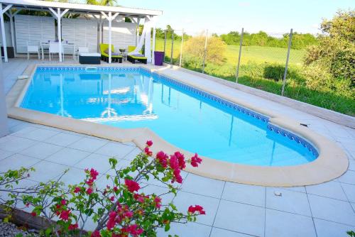 Le Robert Villa | Villa Améthyste: Private Pool, Oceanfront Bliss Await