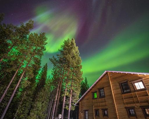 Sirkka Apartment | Experience Villa ArcticFox Levi: Pet Friendly Stay with Hot Tub