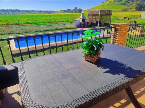 Linares Villa | Beautiful Alojamiento Rural VILLA BILBILIS with Pool & Pets