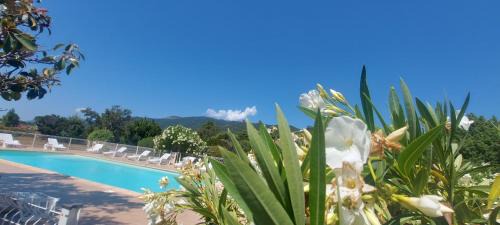 Lecci House | Villa "Bonifacio" Porto-Vecchio résidence RIVIERA avec piscine