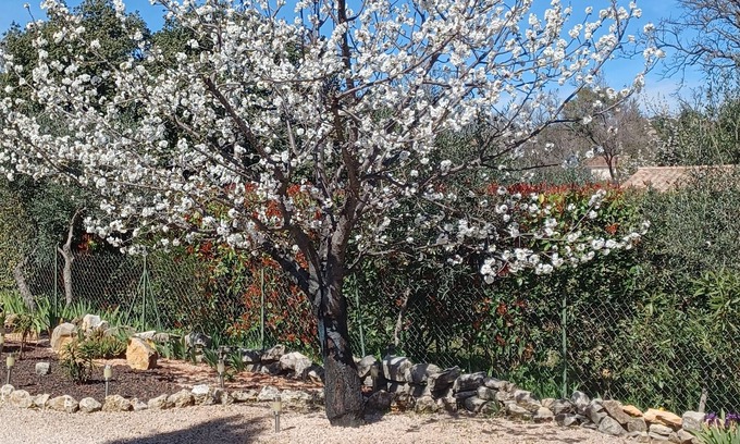 Flayosc Bed & Breakfast | Villa Chrisama bed and breakfast in quiet surroundings