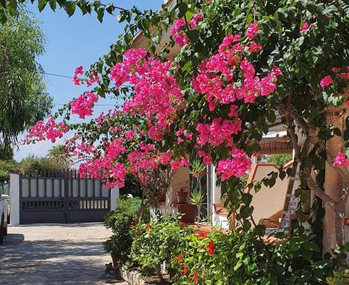 San Lorenzo House | Villa Clarissa in San Lorenzo: Oceanfront Pet-Friendly Retreat