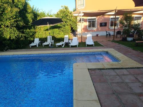 Alcolea House | Villa Coco: Oceanfront Escape with Pool and Pet-Friendly Perks