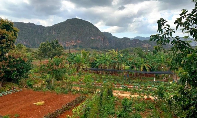 Vinales Bed & Breakfast | Family-Friendly Retreat at Villa Coco Solo - Guest Rated 9.8