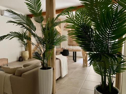 Pamiers Villa | Villa de charme avec spa