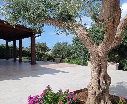 Custonaci House | Oceanfront Villa dei Colori: Guest Rated 9.7/10