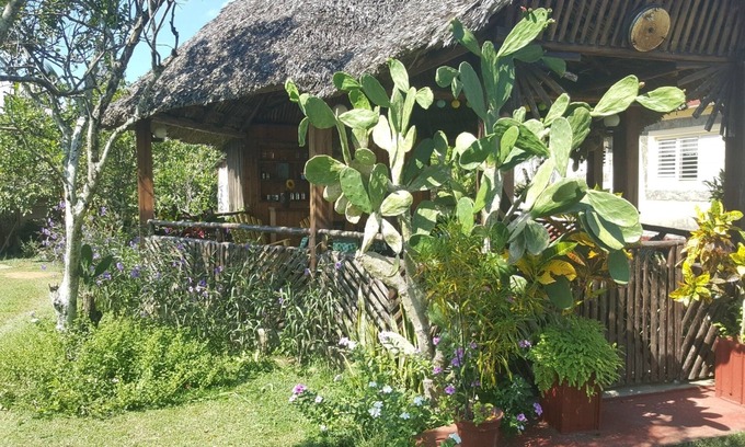 La Palma House | Experience Villa Don Jose Otano y Maria: 10/10 Rated Retreat