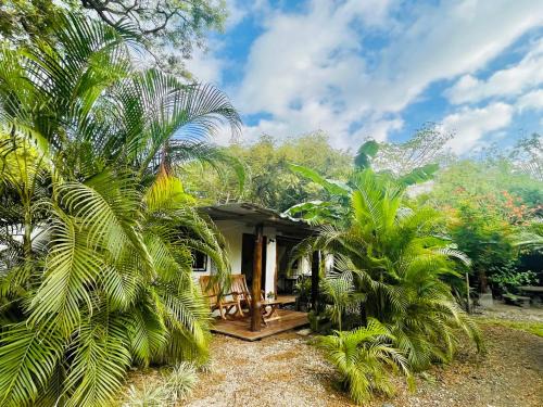 Nosara House | Beachfront Villa Ecomar Nosara with Ocean View Amenities
