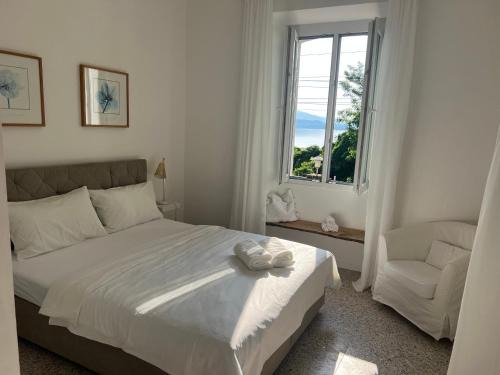 Belgirate Apartment | Villa Elisabetta Lago Maggiore