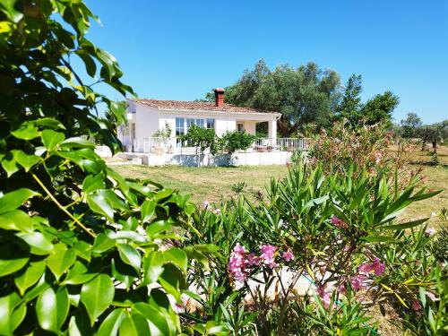 Fazana Apartment | Villa Elizej: Guest Rated 10/10 & Pet Friendly Retreat
