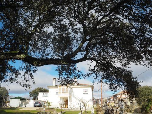 Moralina House | Villa Entre Encinas: Oceanfront Oasis with Pool & Breakfast