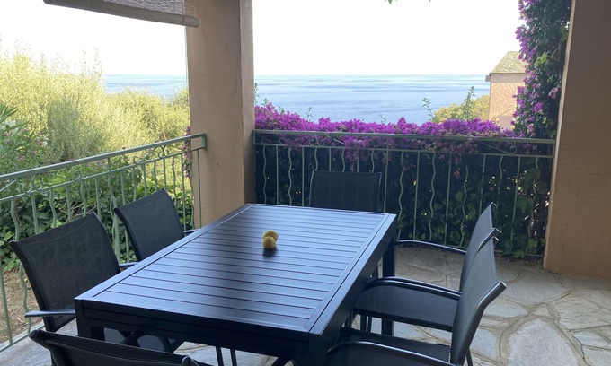 Erbalunga Apartment | Villa Erbella: Oceanfront Haven with Pool & Spa Bliss
