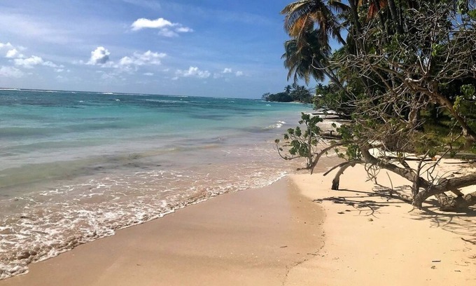 Grand-Bourg Villa | Oceanfront Villa Libellule with Pool & Spa in Marie Galante