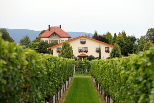 Landau in der Pfalz House | Family-Friendly Villa Hochdörffer Gästehaus with Great Rating