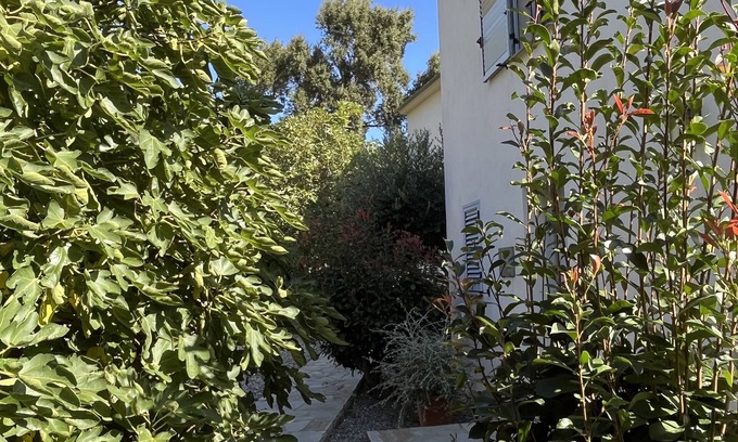 Erbalunga Villa | Idyllic Villa in Erbalunga with Oceanfront Pool & Spa