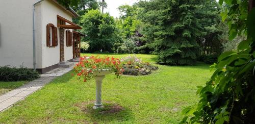 Nyiregyhaza Villa | Oceanfront Villa Jare I - Rated 8.4/10 and Family-Friendly