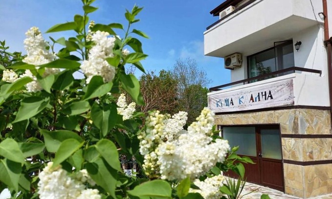 Velika House | Villa Kalina: Pet-Friendly Retreat with Exceptional 9.4 Rating