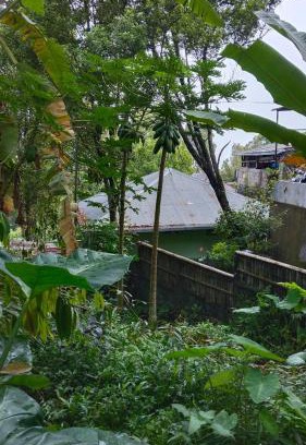 Wanagiri House | Pet-Friendly Villa Kubu Gitgit: Guest Rated 9.8/10