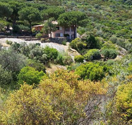 Arenella Villa | Villa Laura Aegilium: Ocean View Family Retreat, 4-Star Stay