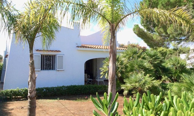 Rosa Marina House | Experience Villa Le Palme: Oceanfront & Pet-Friendly Stay