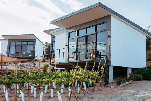 Valle de Guadalupe Bed & Breakfast | Pet-Friendly Villa Loar in Valle de Guadalupe - Rated 10/10