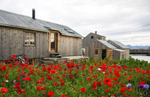 Bostad Villa | Fisherman's Cabin: Oceanfront Oasis with High Guest Ratings