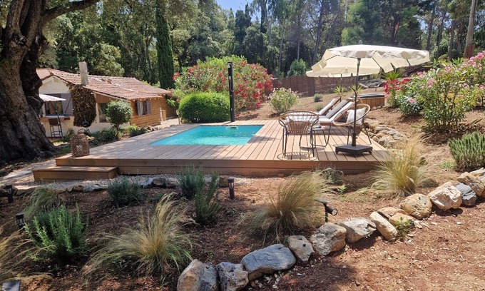 Oletta Villa | Relax at Villa Loleado - Oceanfront with Private Pool