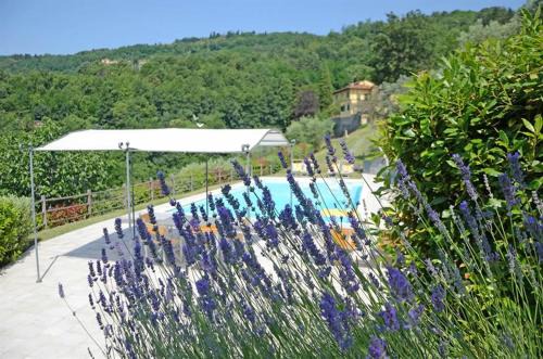 Croce a Uzzo Villa | Villa Mario: Poolside Retreat in Scenic Tuscan Countryside
