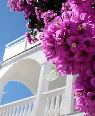 Iz Apartment | Discover Villa Maris: Oceanfront Retreat, Guest Rated 9/10
