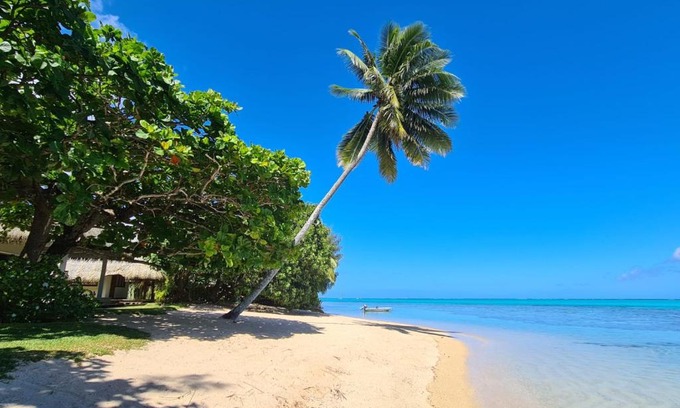 Otumai Villa | Villa Meheana: Oceanfront Oasis with Top Guest Ratings