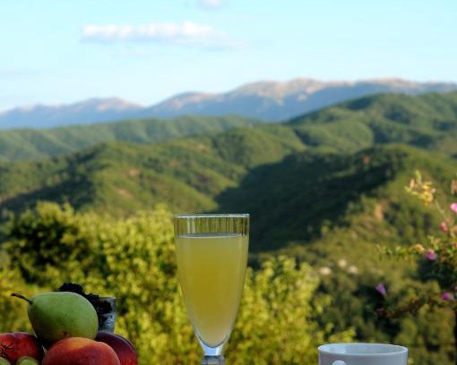 Koukkoulion House | Discover Villa Menta in Zagori: Pet-Friendly Retreat