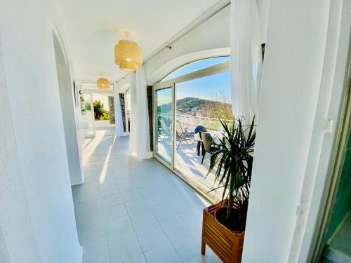 Cargese Villa | Villa Montalbo: Oceanfront Retreat for Up to 10 Guests