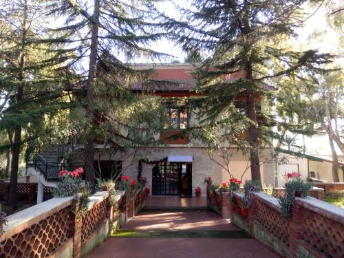 Pedara Bed & Breakfast | Discover Villa Morgante B&B: Pet Friendly & Family-Oriented