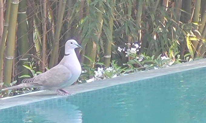 Calas Villa | Villa near Aix and Marseille