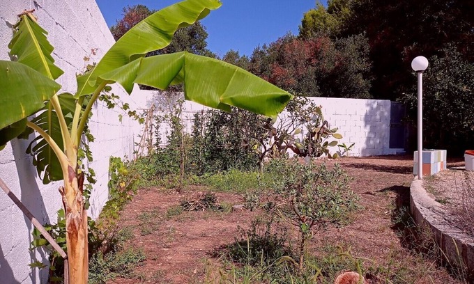 Roca Vecchia Villa | Discover Villa "Oasi": Your Ideal Retreat in Roca Vecchia