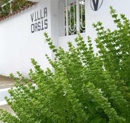 Berat Bed & Breakfast | Villa Oasis: Guest Rated 9/10 with Family-Friendly Amenities