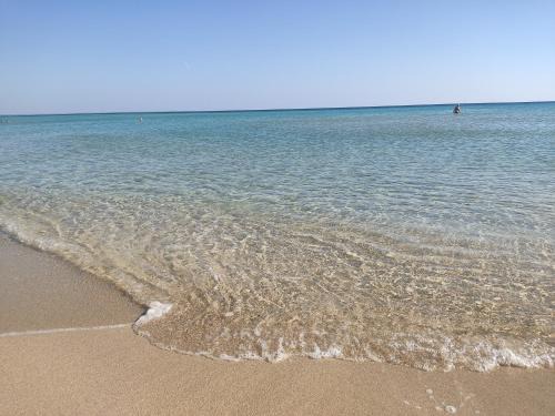 Punta Prosciutto Villa | Villa Palma: Steps from the Sea, Pet-Friendly Retreat