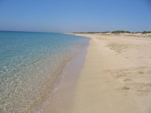 Torre Colimena Villa | Discover Villa Pi: Oceanfront Retreat with Pet-Friendly Perks